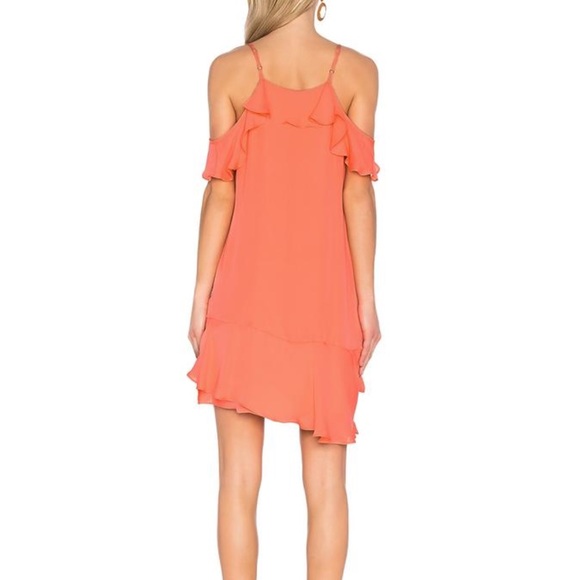 Parker Dress - Picture 3 of 8